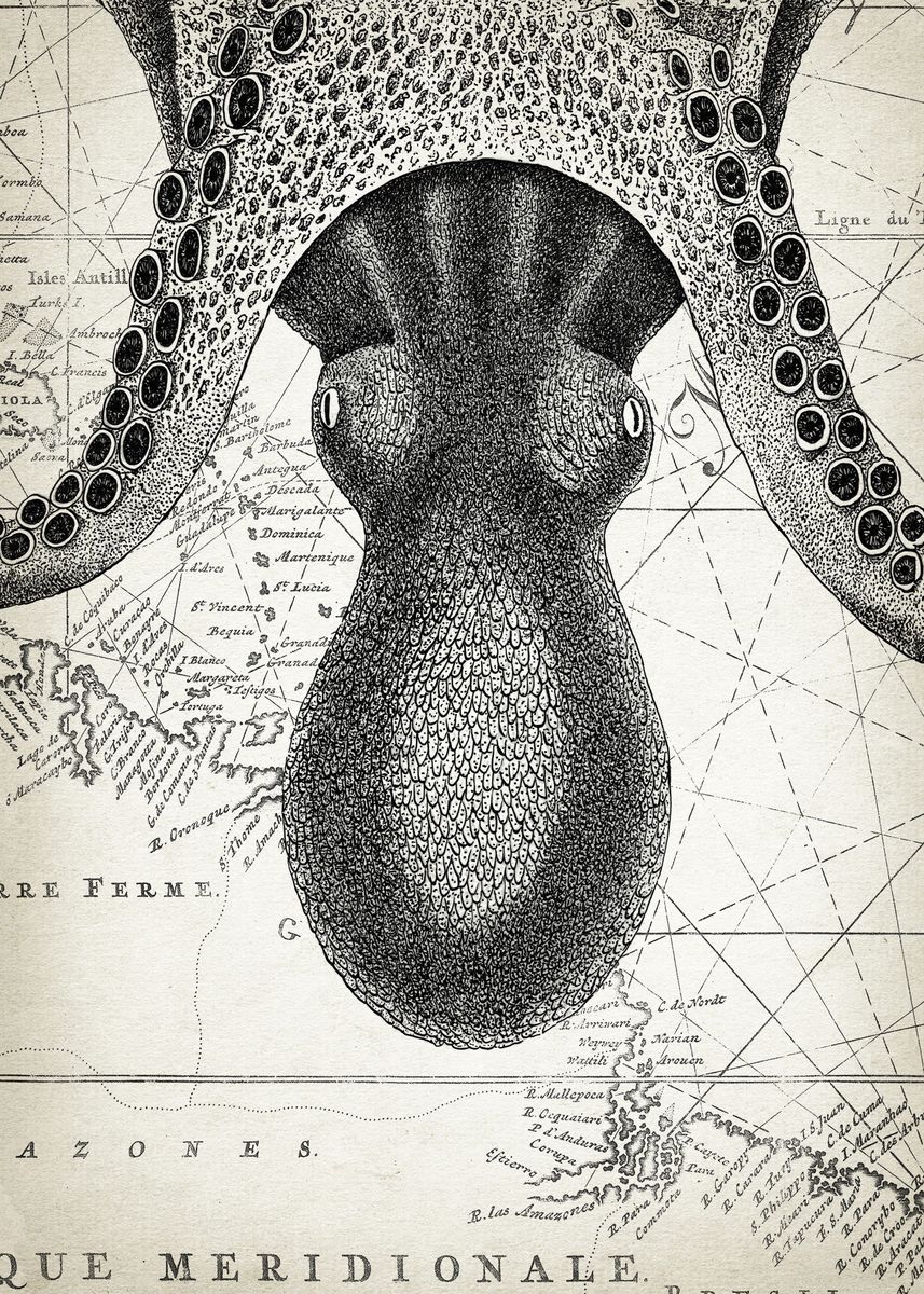 Octopus Map 'Octopus Map Art Part 5' Poster, picture, metal print, paint by ...