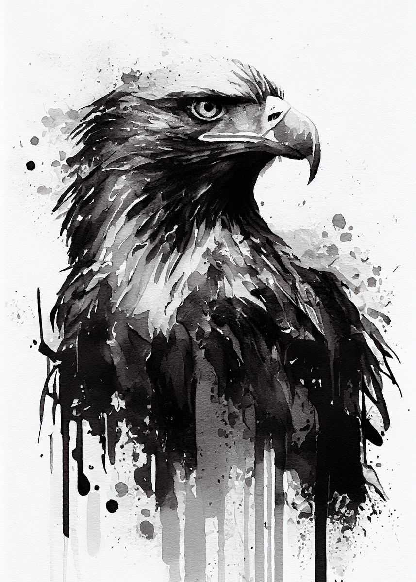 'Eagle Black and White' Poster, picture, metal print, paint by ...