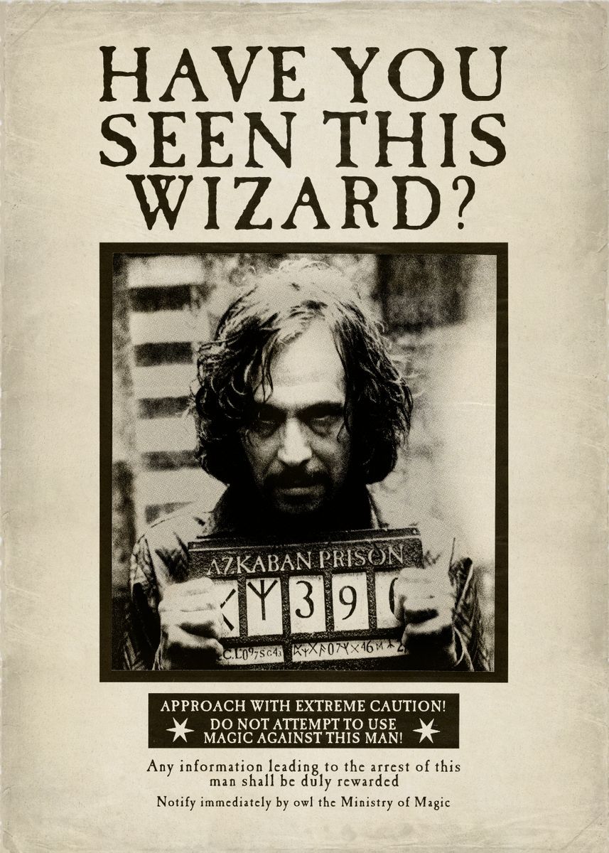 'Have you seen this wizard?' Poster, picture, metal print, paint by ...