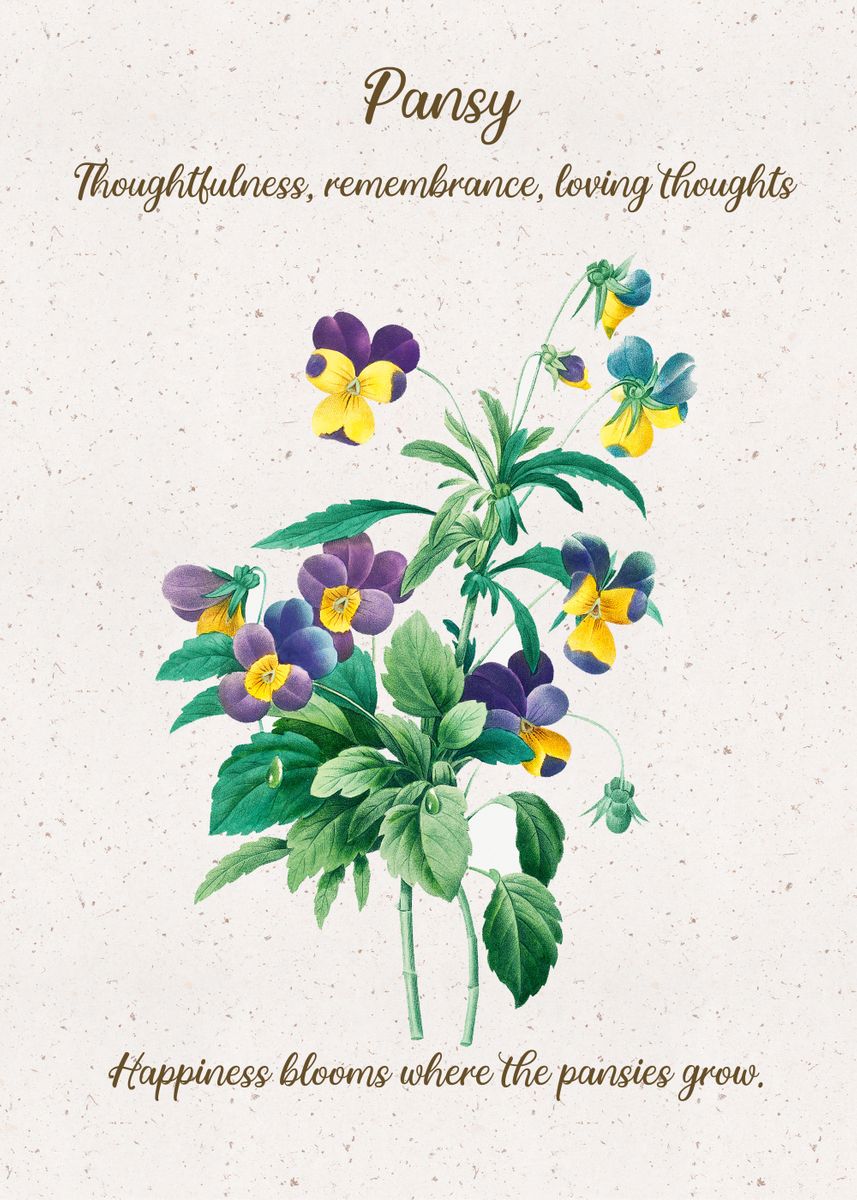 'Pansy Flower Language' Poster by XandYart Displate