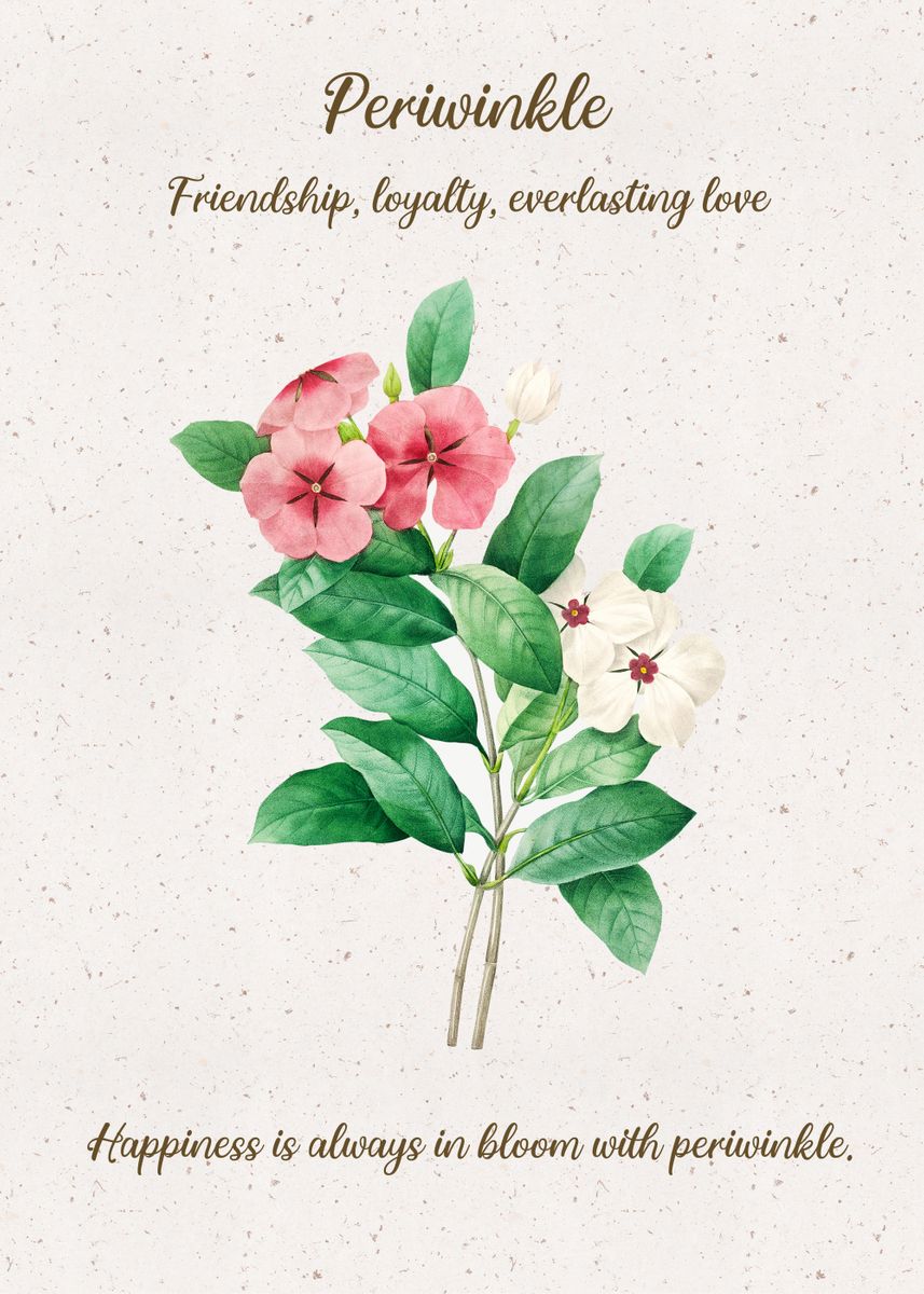 'Periwinkle Flower Language' Poster by XandYart Displate