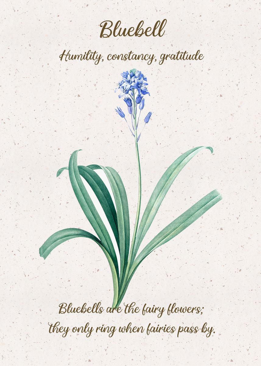 Bluebell Flower Language' Poster, picture, metal print, paint by XandYart