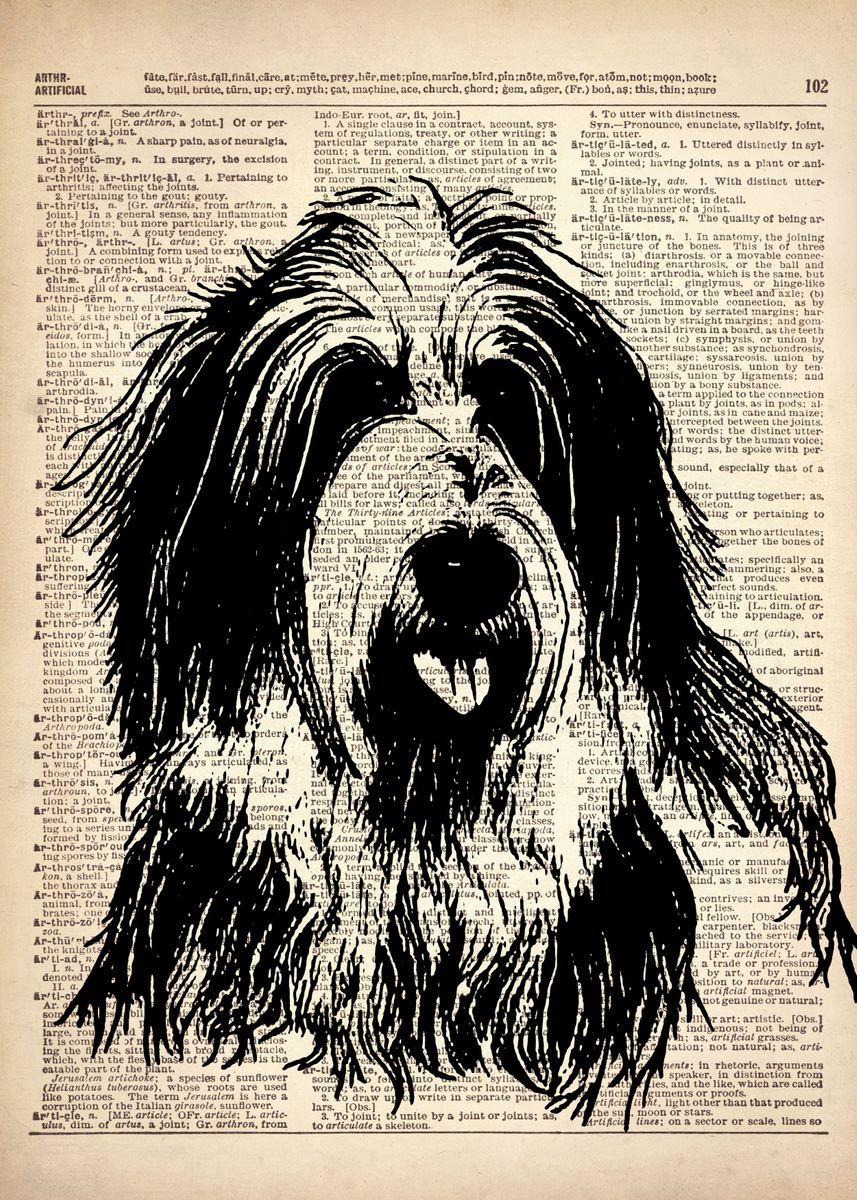 'Bearded Collie DOG art' Poster by Art popop Displate