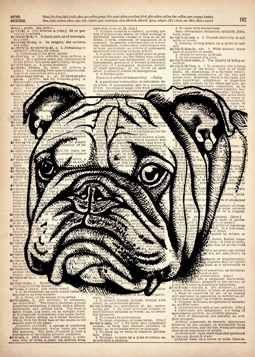 'BULLDOG DOG art' Poster by Art popop Displate