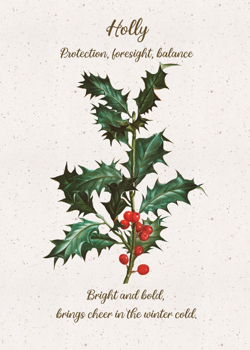 Holly Flower Meaning