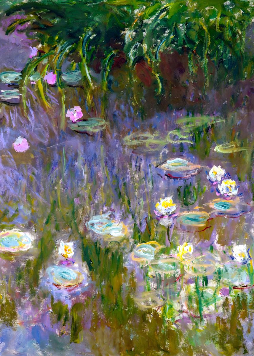 'Claude Monet Water Lillie' Poster, picture, metal print, paint by ...