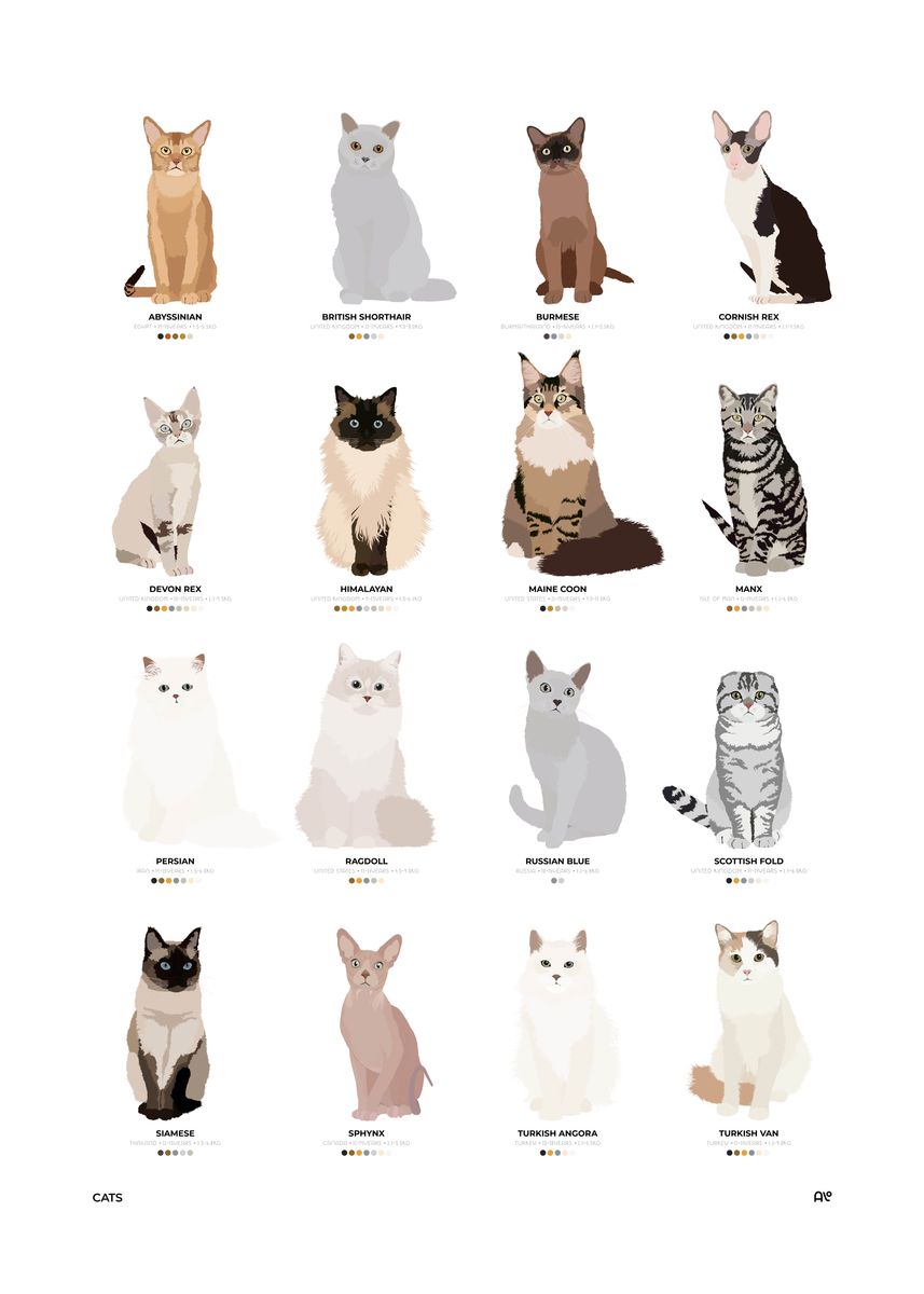 Cat breed best sale chart with pictures