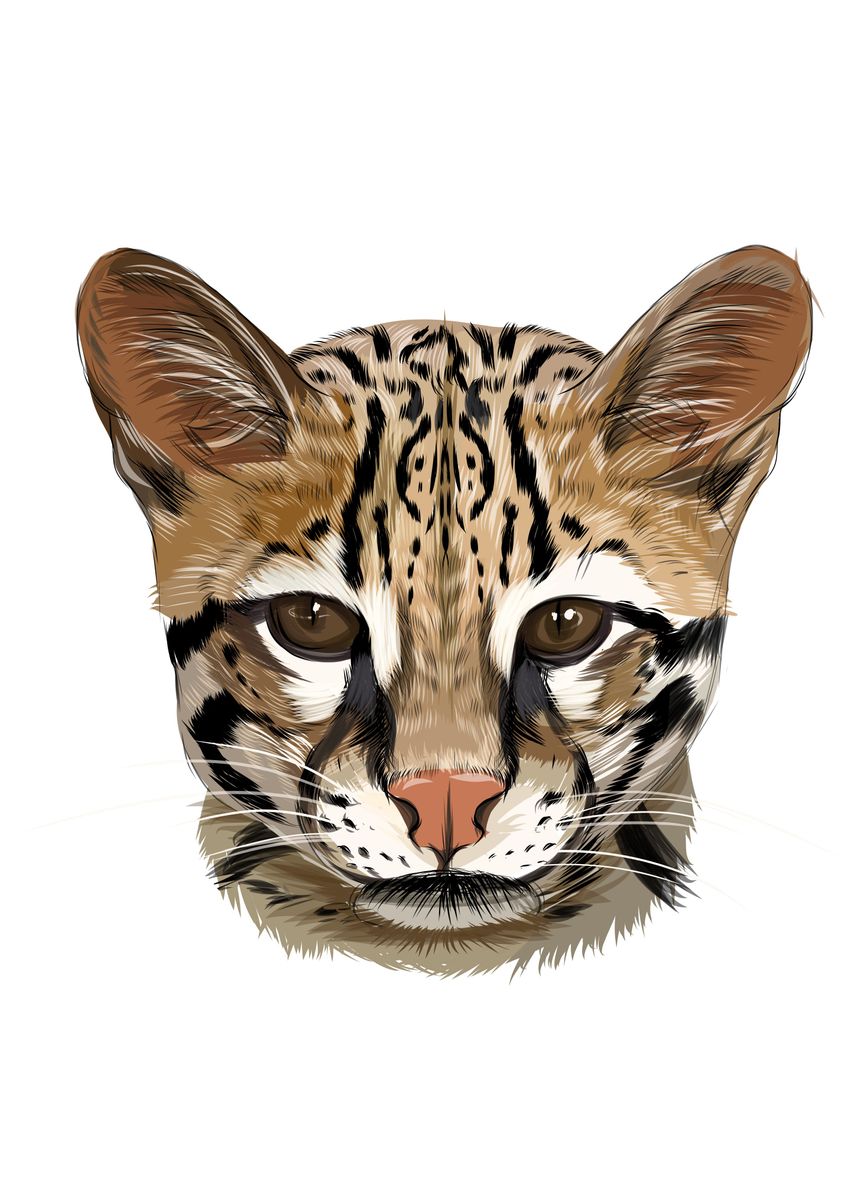 Ocelot  Diamond Art Club®