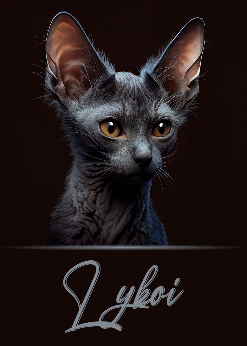 'Lykoi Portrait' Poster, picture, metal print, paint by Artistic ...