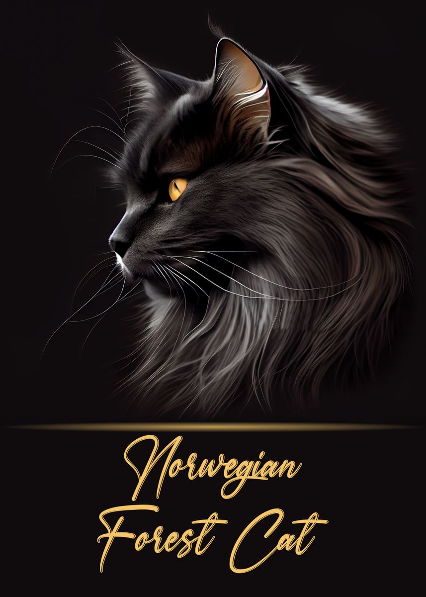 &lsquo;Norwegian Forest Cat&rsquo; Poster by Artistic Paradigms | Displate