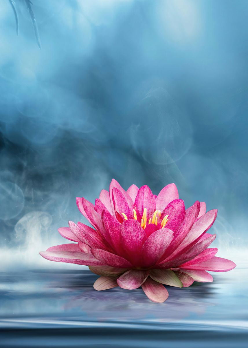 'Lotus Flower' Poster by Robert Design | Displate