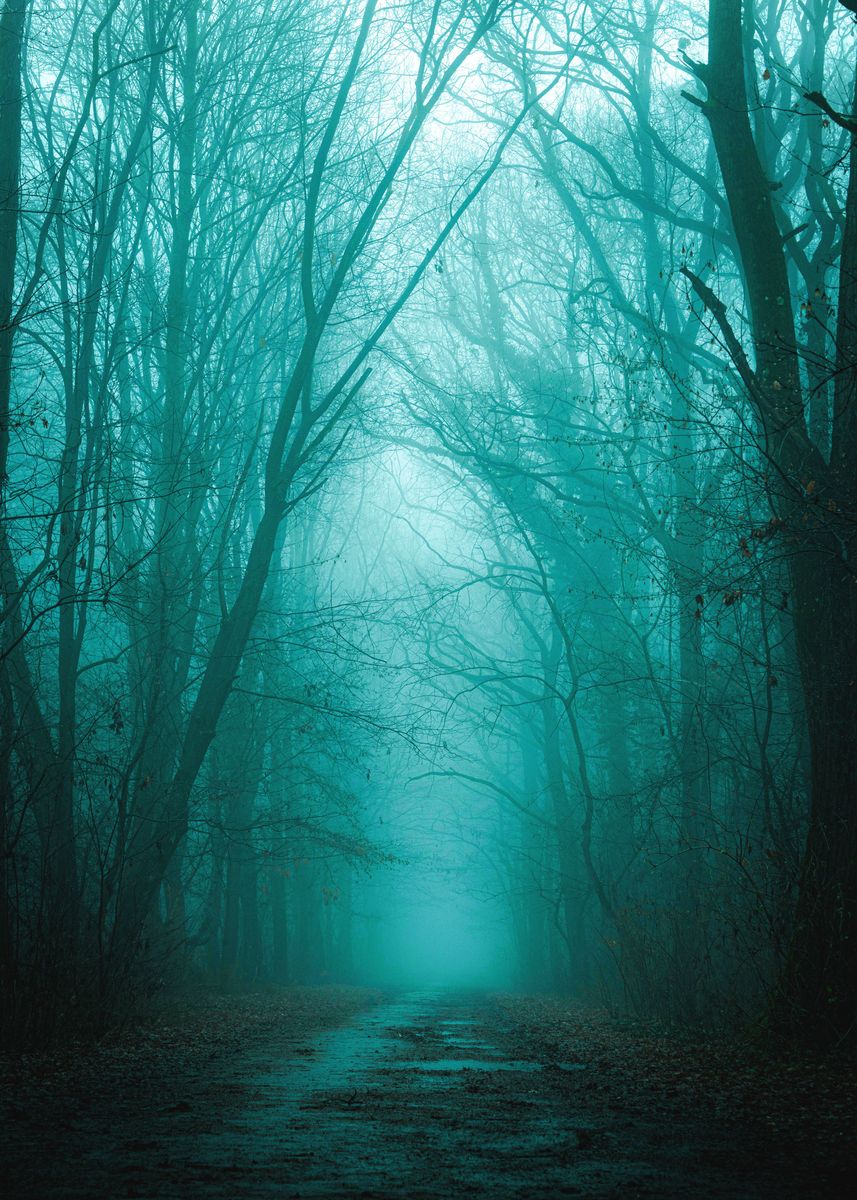 'Forest Fog Road' Poster, picture, metal print, paint by George Sorin ...