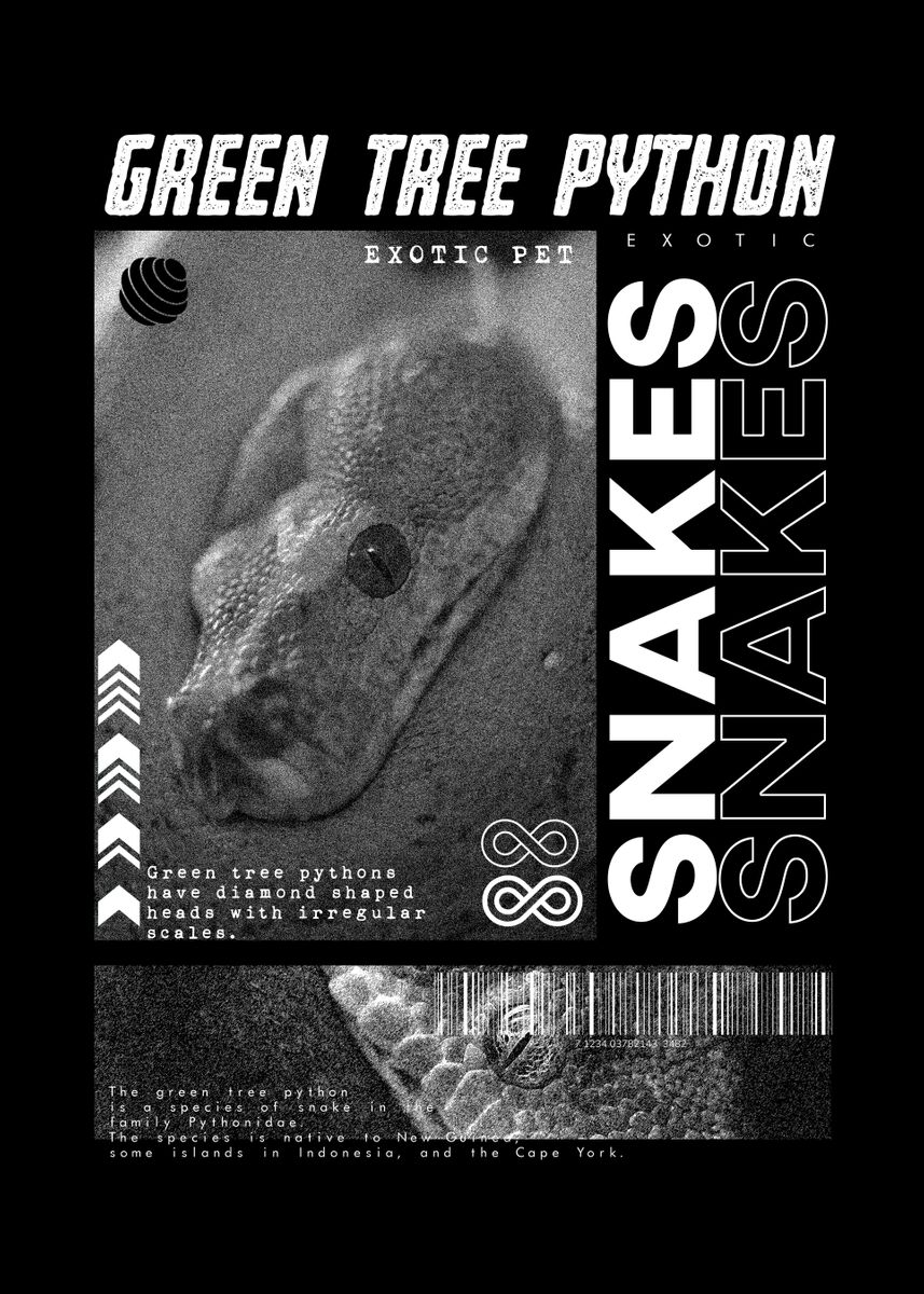 Green Tree Python Modern Poster Picture Metal Print Paint By Jon green tree python modern poster picture metal print paint by jon