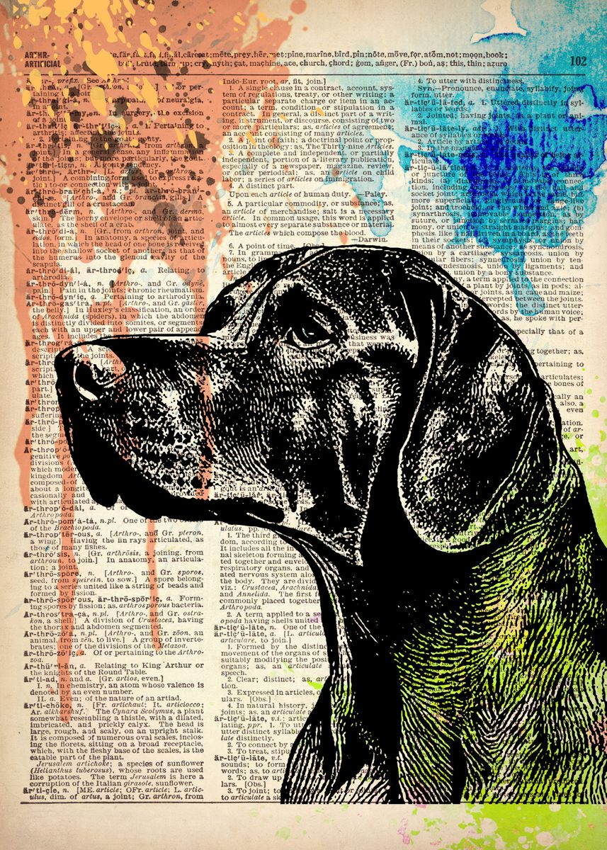 'German Shorthaired Pointer' Poster by Art popop | Displate