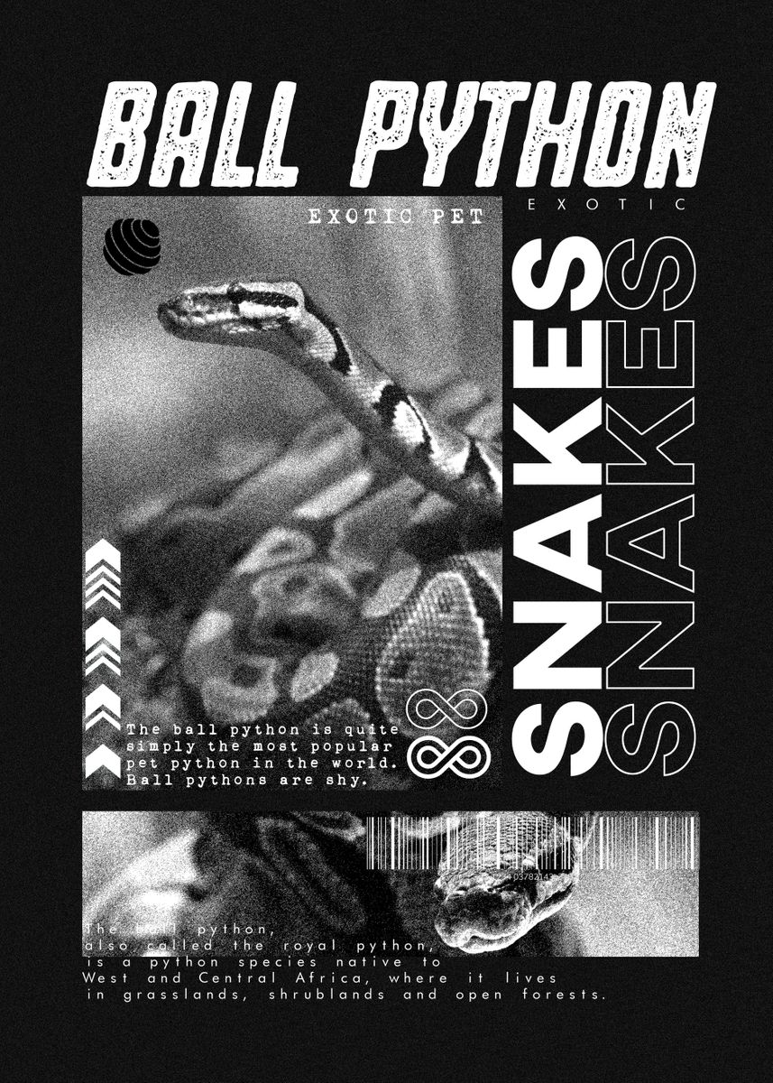 'Ball Python Modern' Poster, picture, metal print, paint by Jon ...