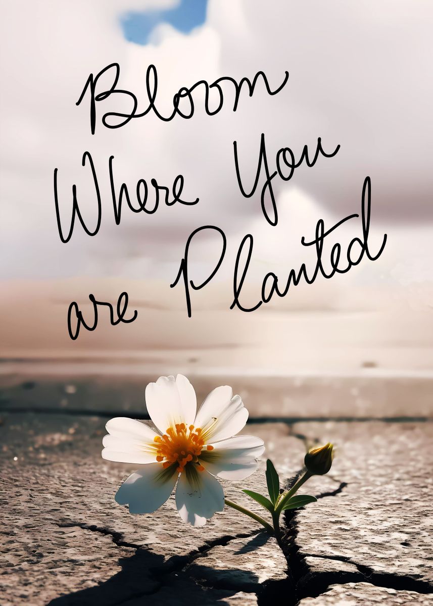 Bloom Where Your Planted Quote