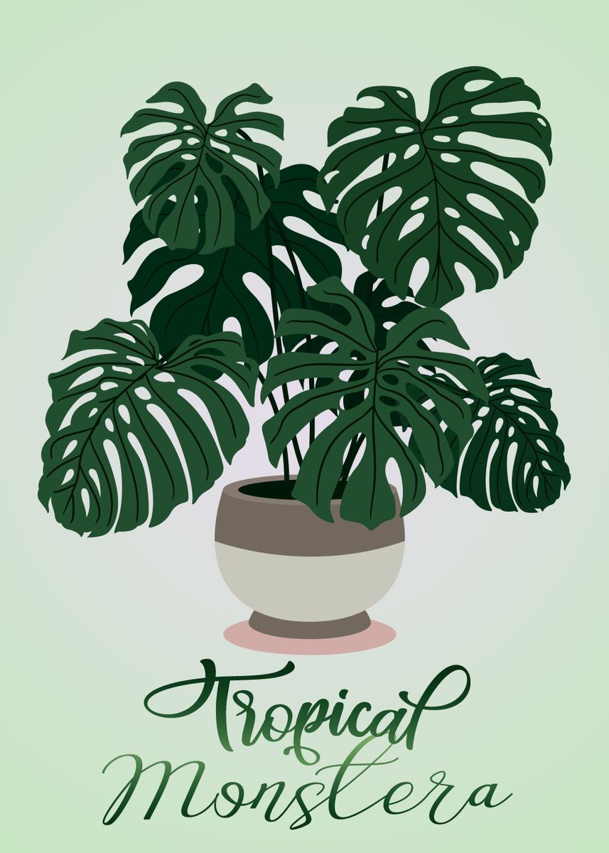 ' Monstera Pot Poster' Poster, picture, metal print, paint by All of ...