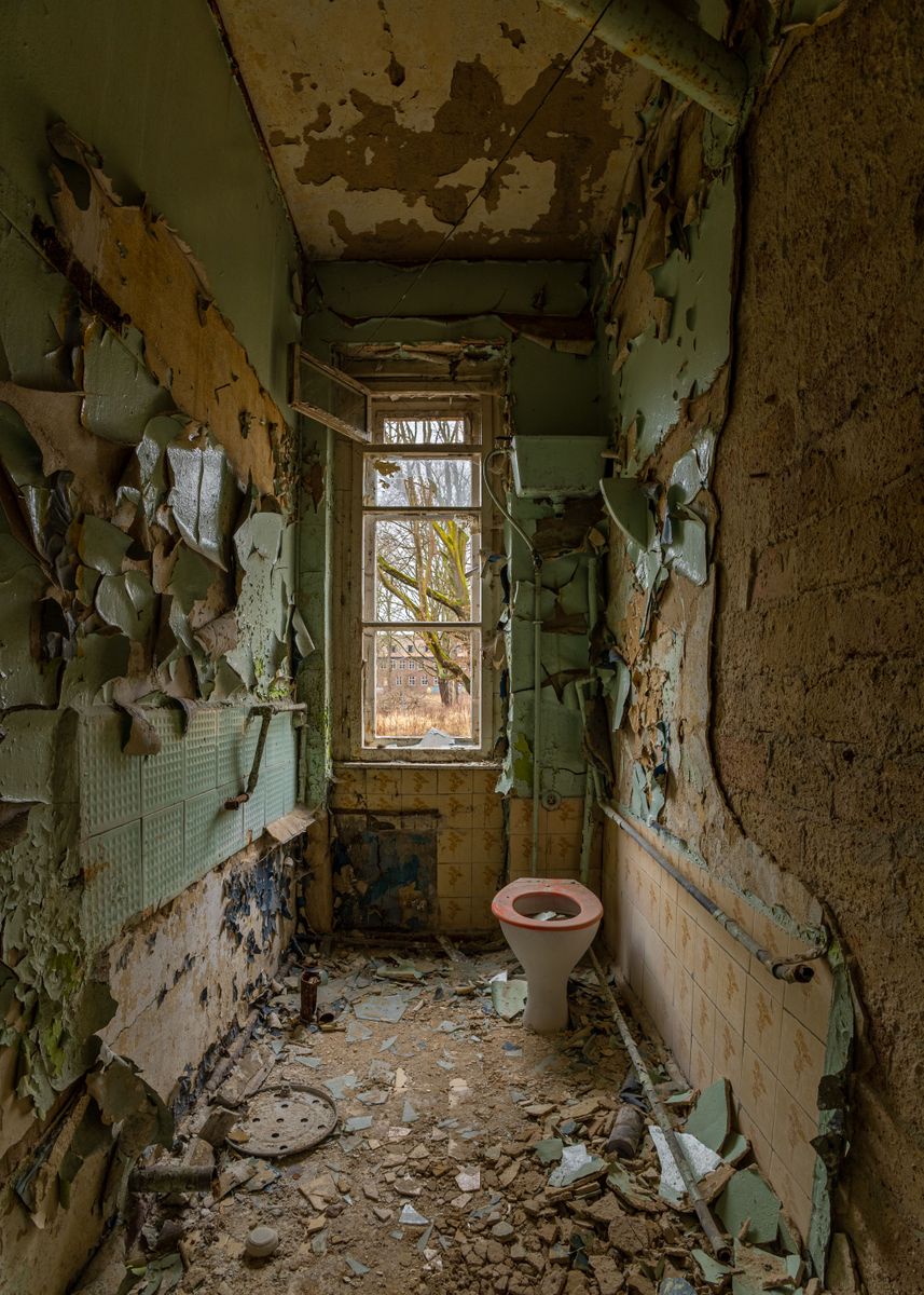 'rotten Toilet' Poster, Picture, Metal Print, Paint By Skanatiker 