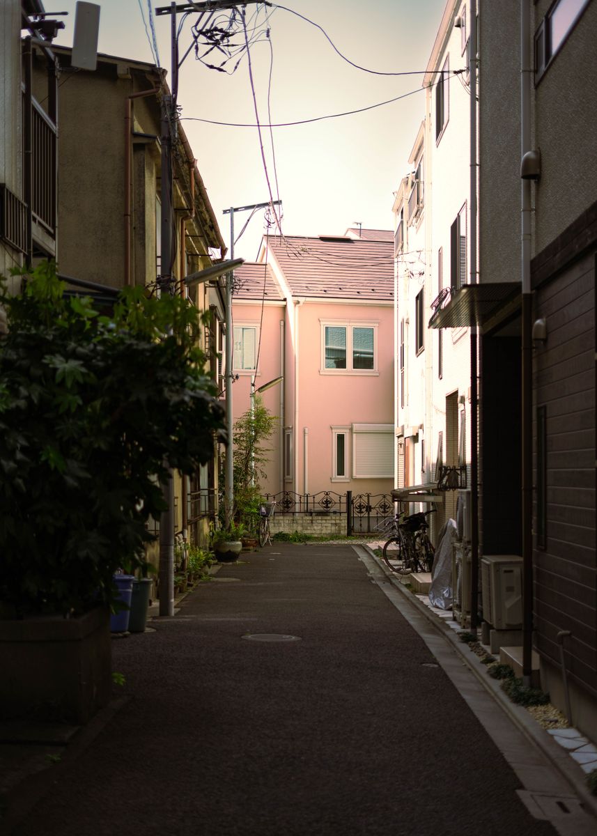 midday-alleyway-sunshine-poster-picture-metal-print-paint-by-brian