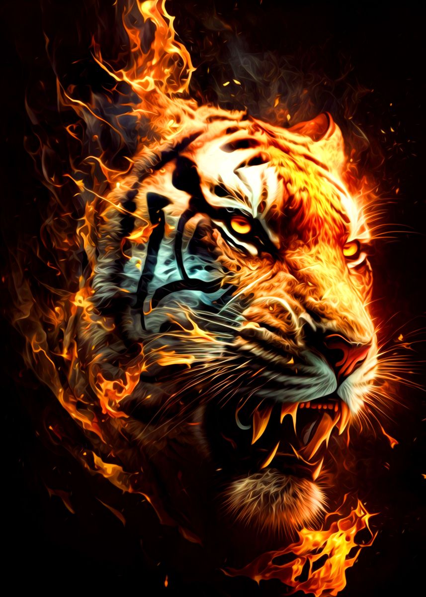 'Tiger' Poster by bds land | Displate