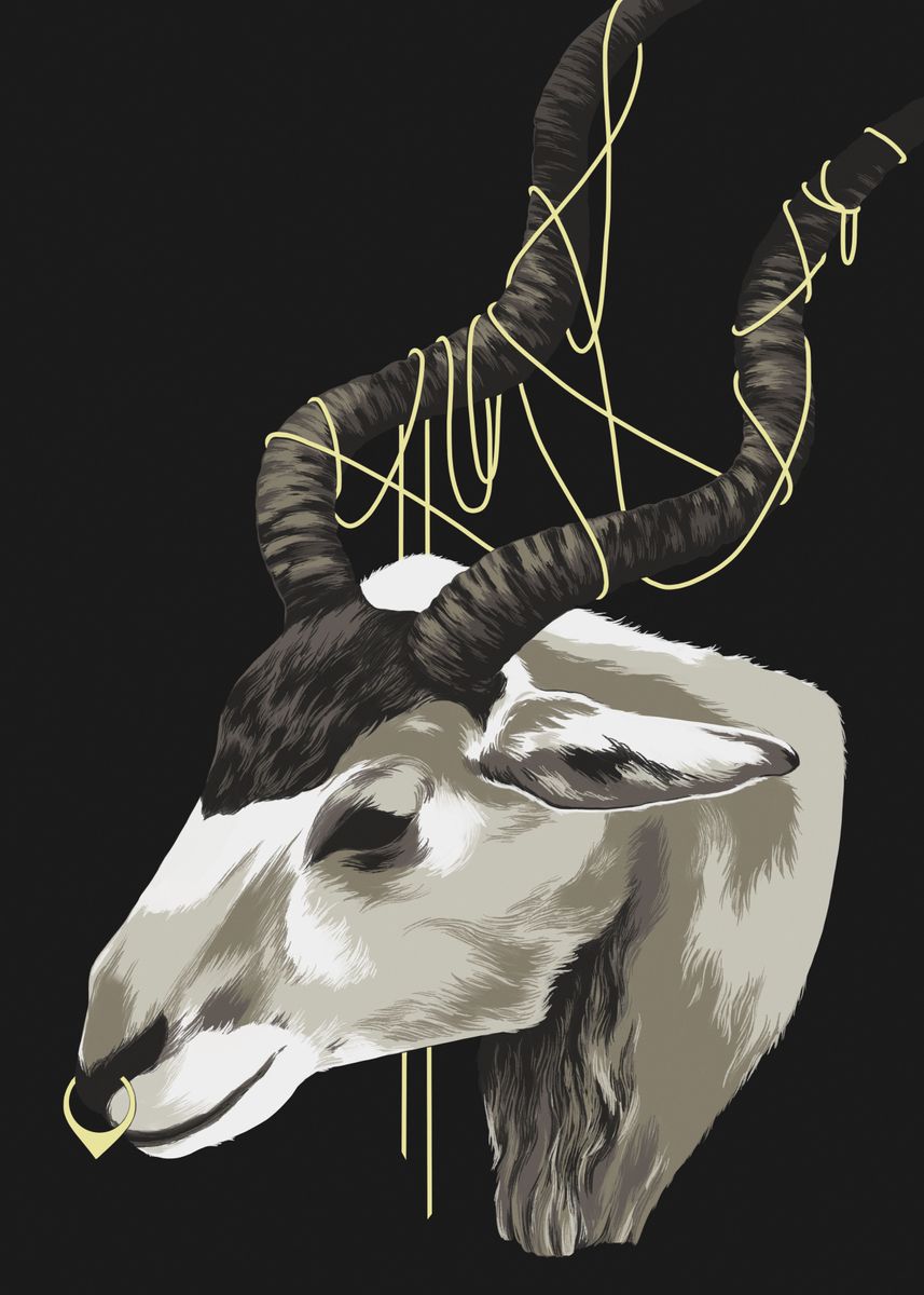 'Addax antelope' Poster, picture, metal print, paint by Chimerah ...