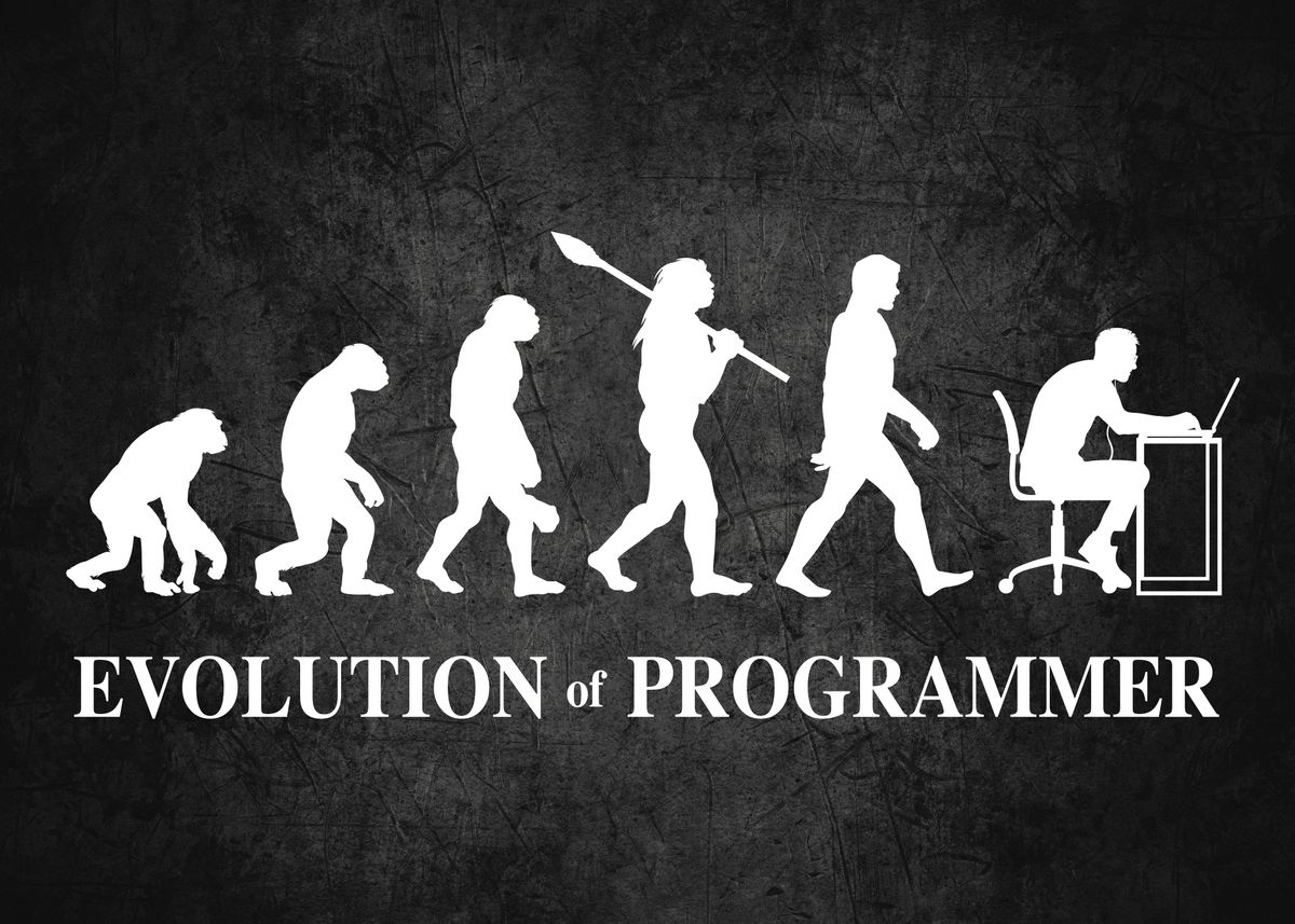 'Evolution of Programmer' Poster by Simon Darren | Displate