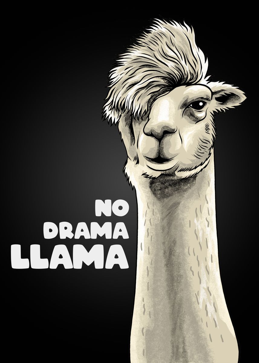 No Drama Llama Meme Poster Picture Metal Print Paint By Adam