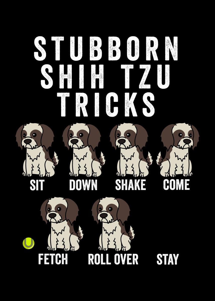 Shih store tzu stubborn