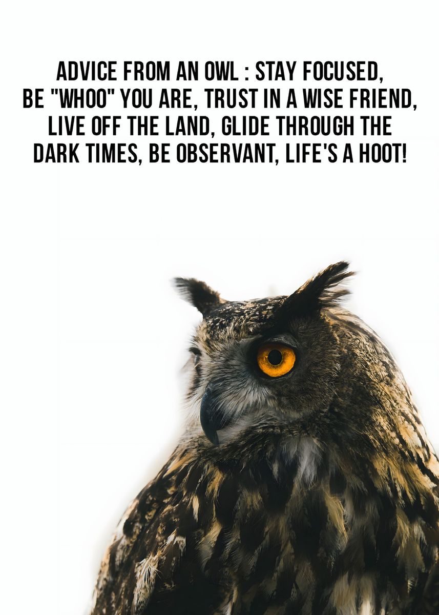 'Advice from an Owl' Poster by HOLOSOMNIA Displate