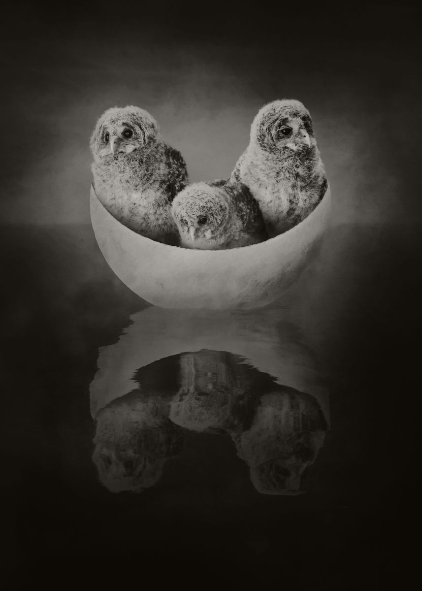 'Children of the Moon Sepia' Poster, picture, metal print, paint by ...