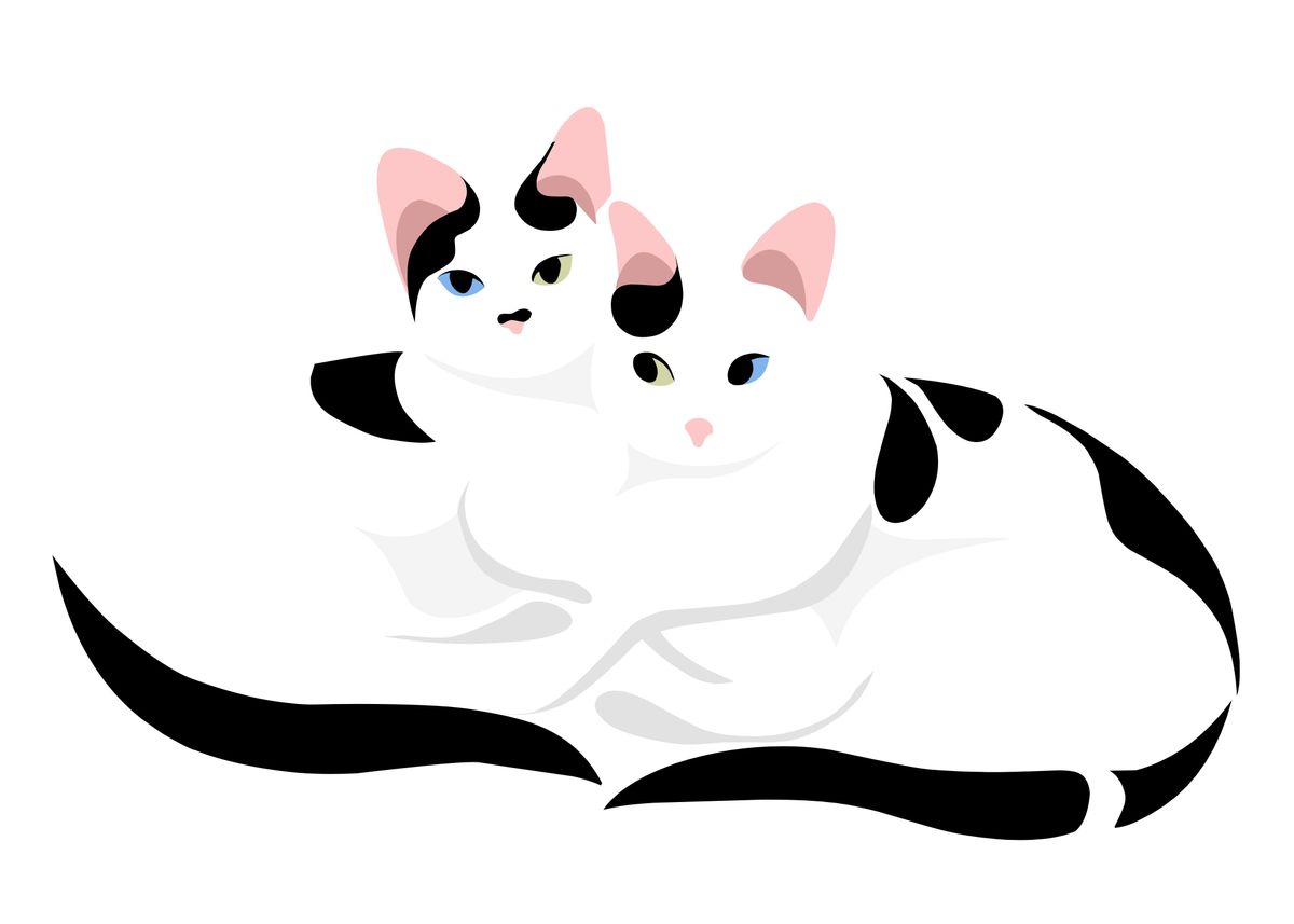 'cats love story' Poster by tarin muj Displate