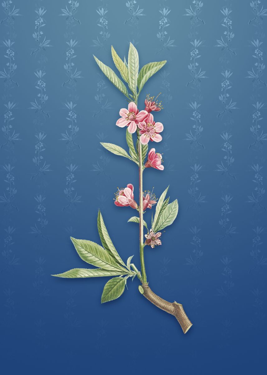 'Vintage Pink Flower' Poster, picture, metal print, paint by Holy Rock ...