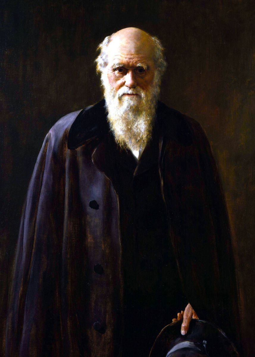 'Charles Darwin Painting' Poster, picture, metal print, paint by ...