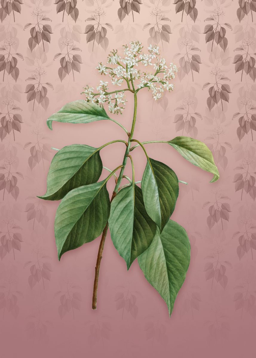 'Vintage Pagoda Dogwood' Poster by Holy Rock Design | Displate