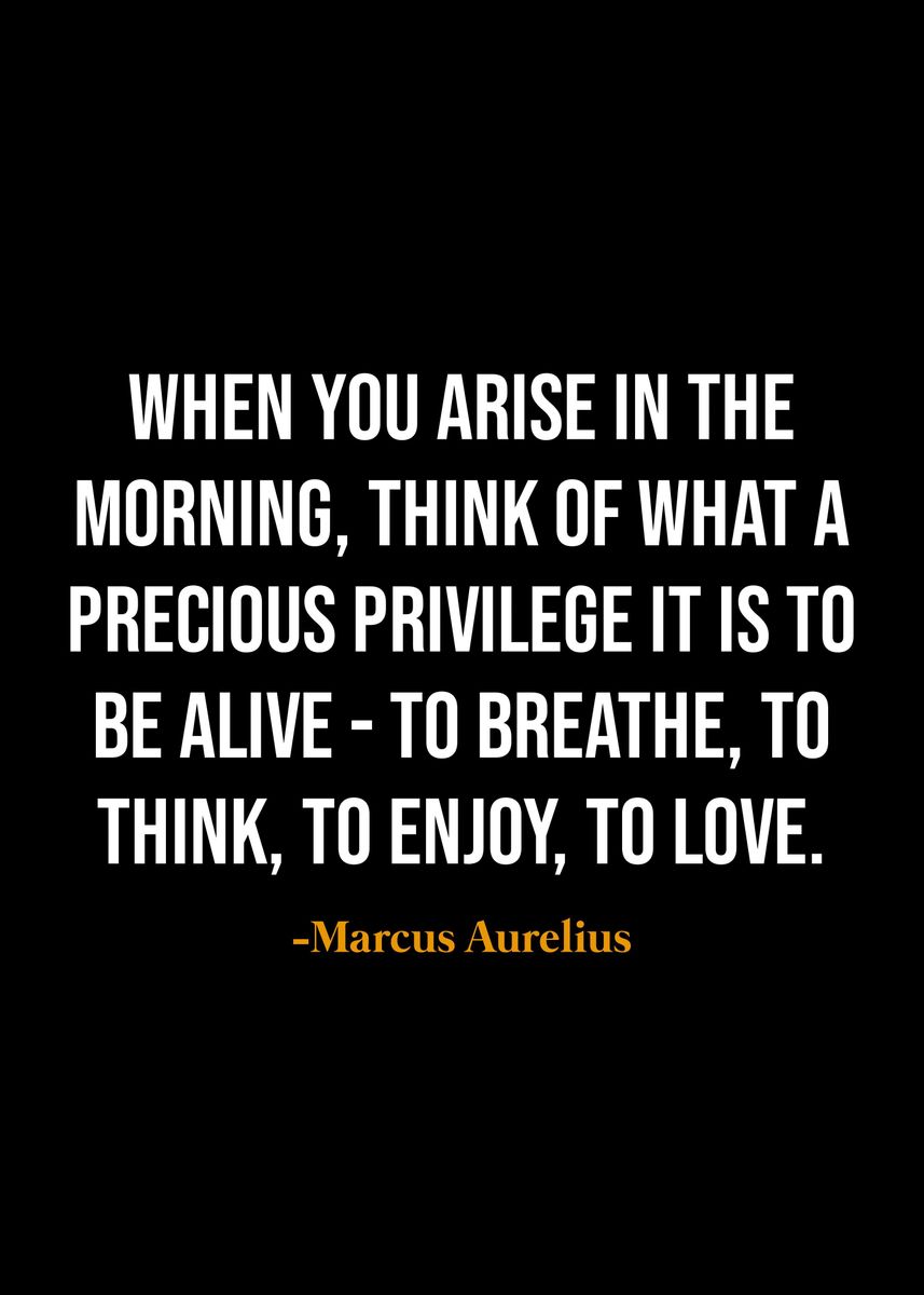 'Marcus Aurelius quotes ' Poster, picture, metal print, paint by Twenty ...