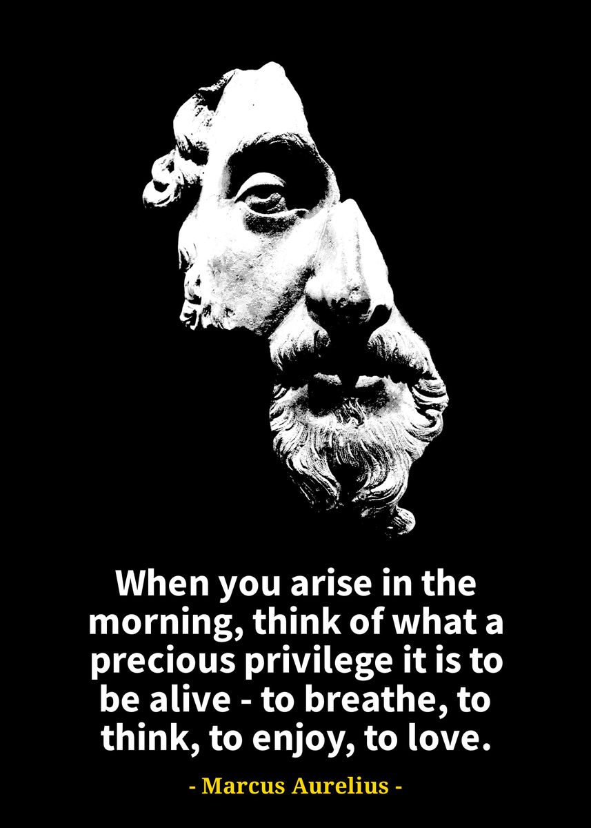 'Marcus Aurelius quotes ' Poster, picture, metal print, paint by ...