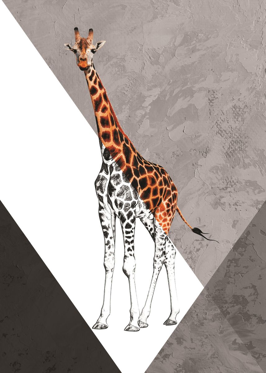 'Giraffe Geometric' Poster, picture, metal print, paint by REAL VINTAGE ...