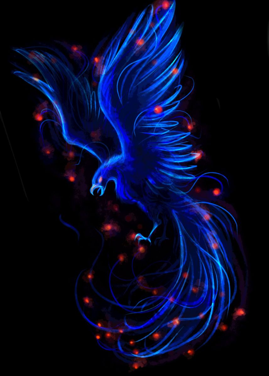 'Phoenix Bird Blue' Poster, picture, metal print, paint by P U F F Y ...