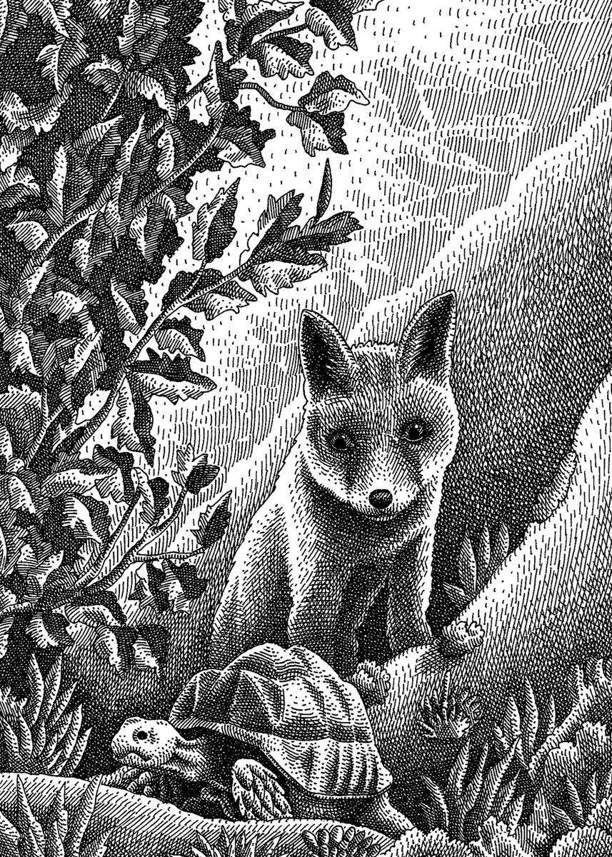 'Fox and turtle' Poster, picture, metal print, paint by Mircea Pop ...