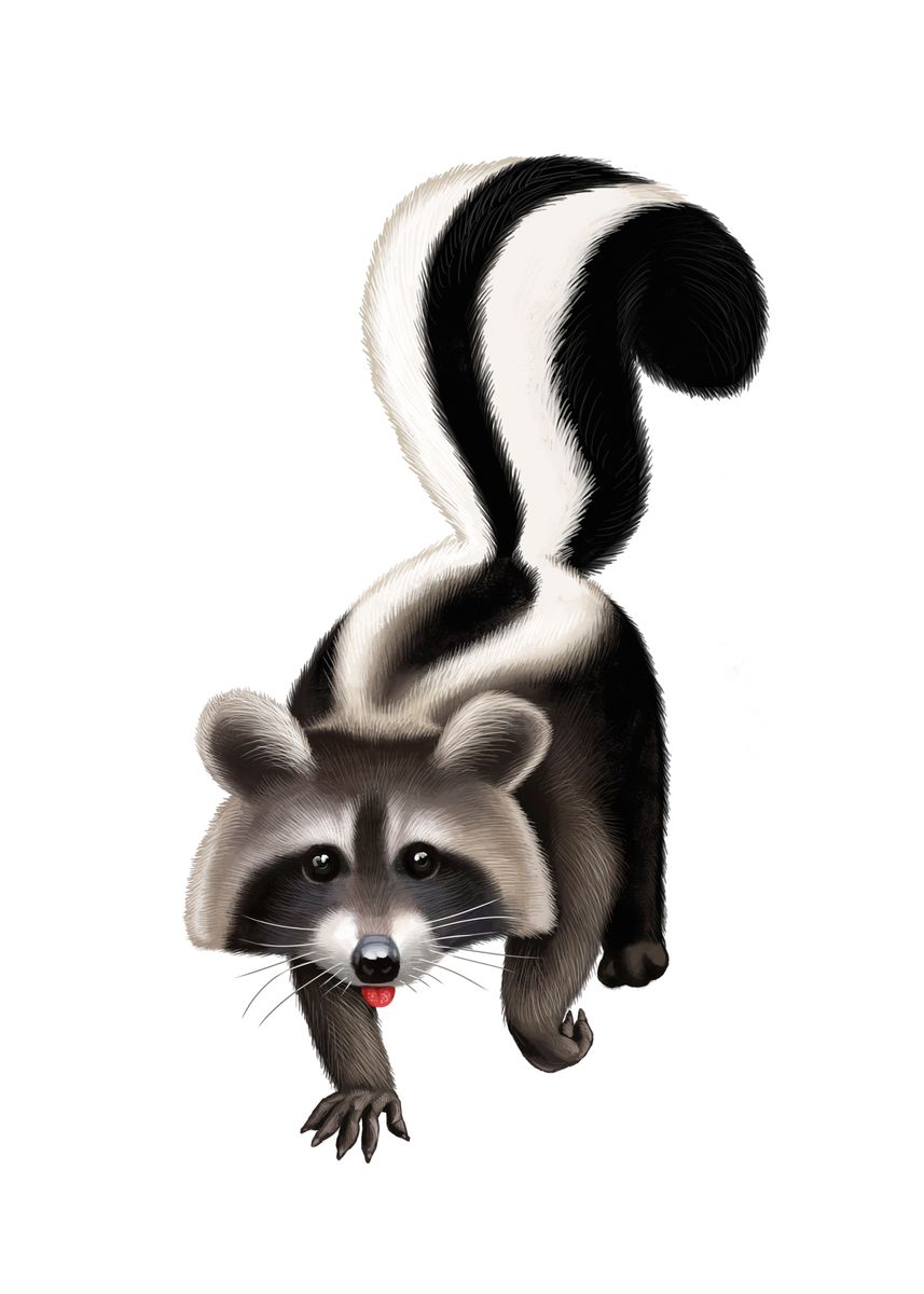 'Smelly raccoon ' Poster, picture, metal print, paint by Mircea Pop ...
