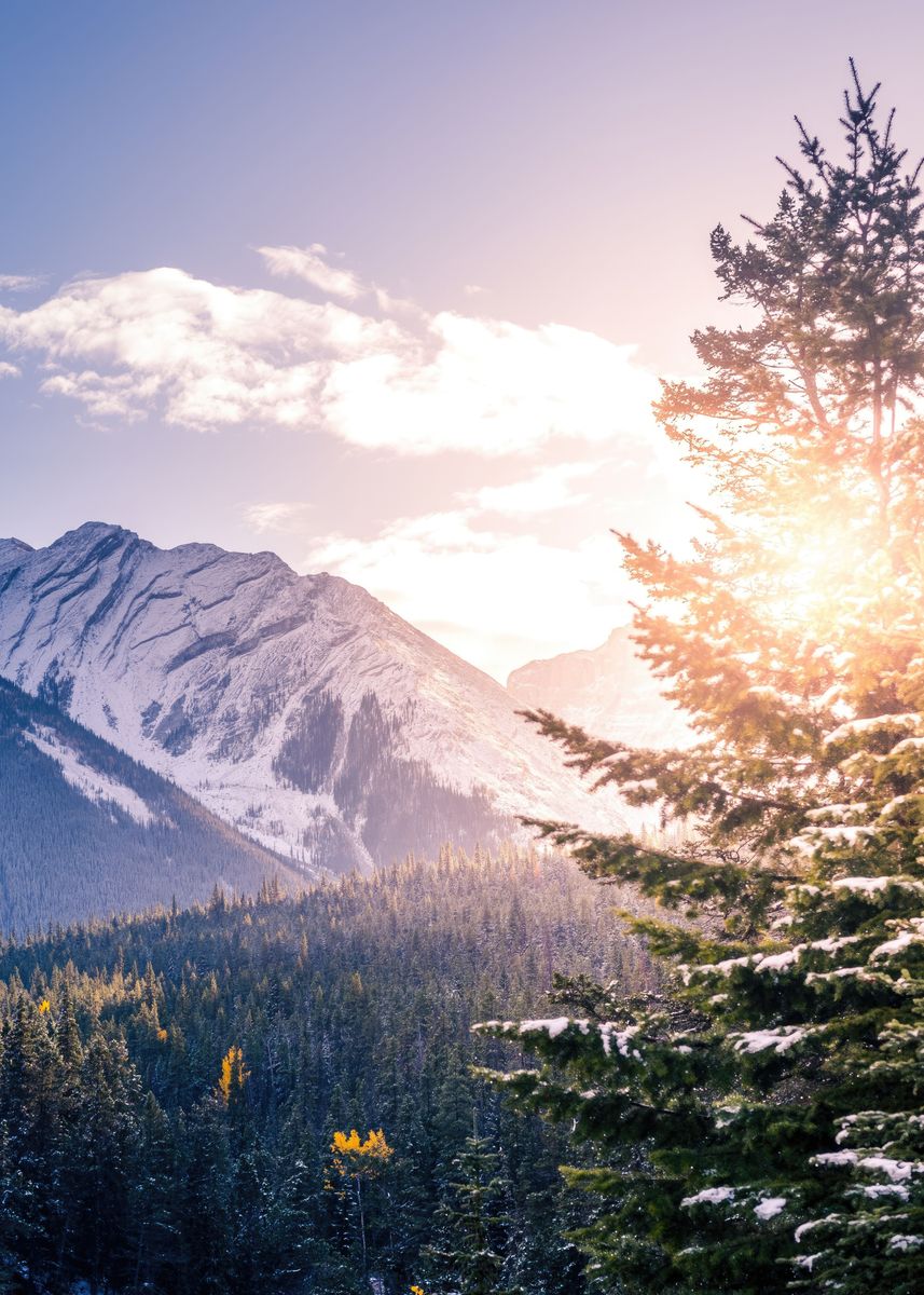 #39 pine trees mountains #39 Poster picture metal print paint by tomahoc