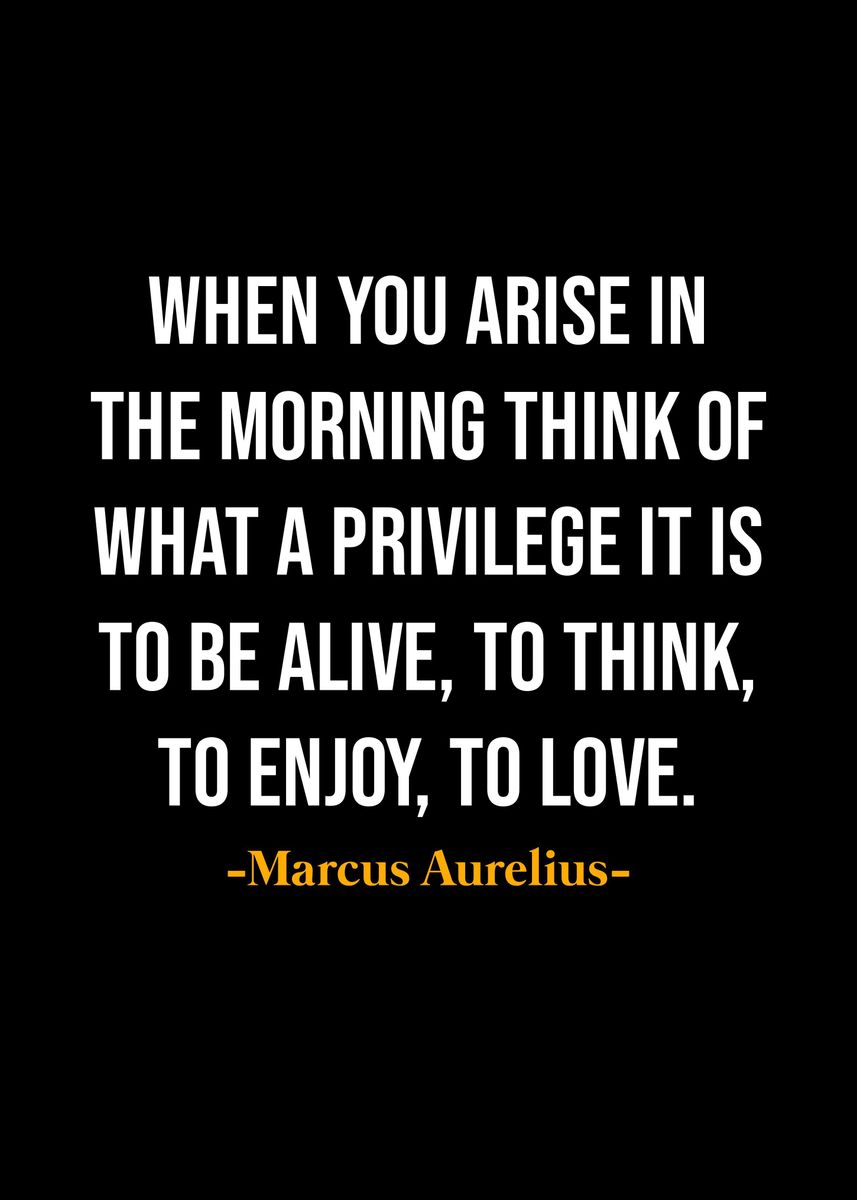 'Marcus Aurelius Quotes ' Poster, picture, metal print, paint by NOHARA ...