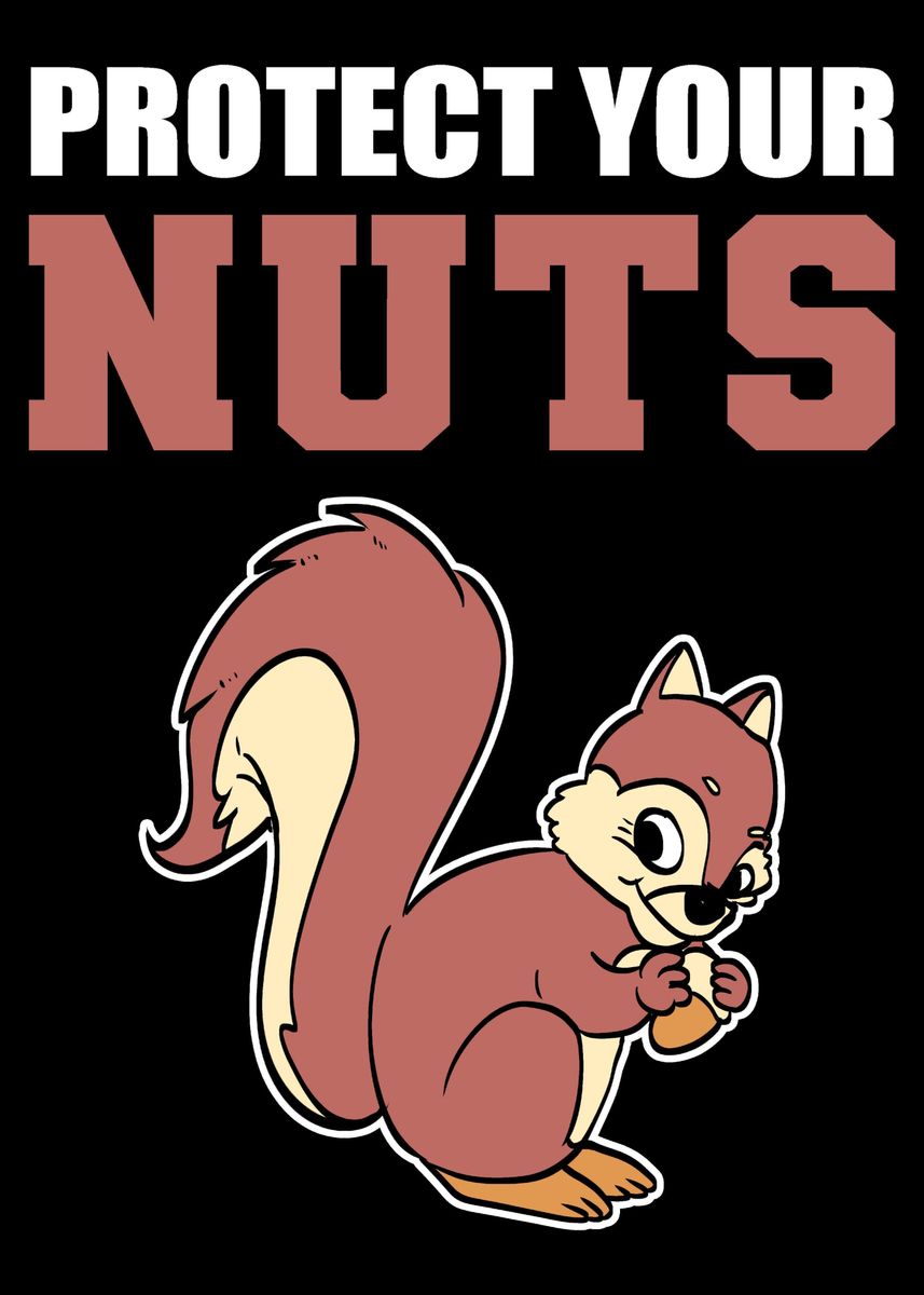 Autocollant Voiture « Protect Your Nuts » – Écureuil Humoristique, 14x15.5cm, Transfert Sur Surface Lisse