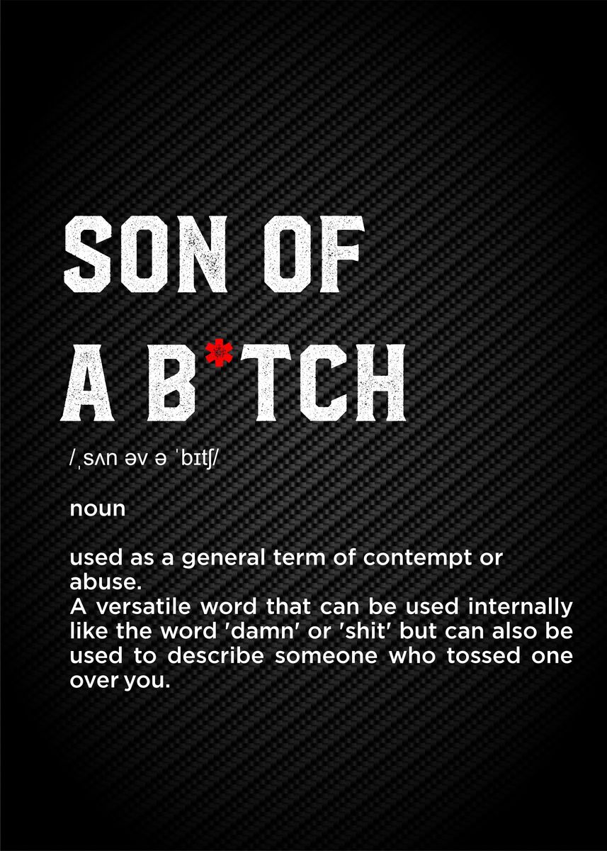 son Of Bitch Quotes Poster Picture Metal Print Paint By Cool son-of-bitch-quotes-poster-picture-metal-print-paint-by-cool