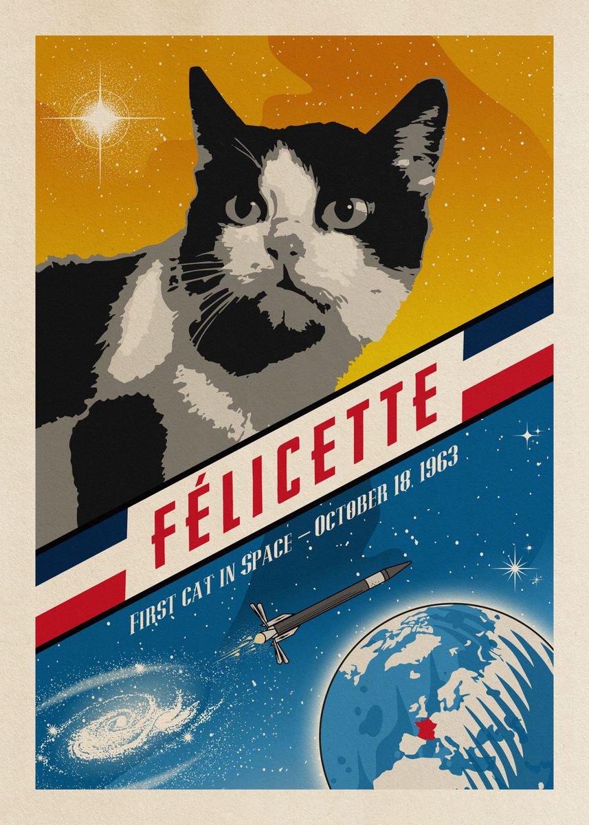 Cat in Space, What Happened to Felicette Cat, Cat Sent to Space