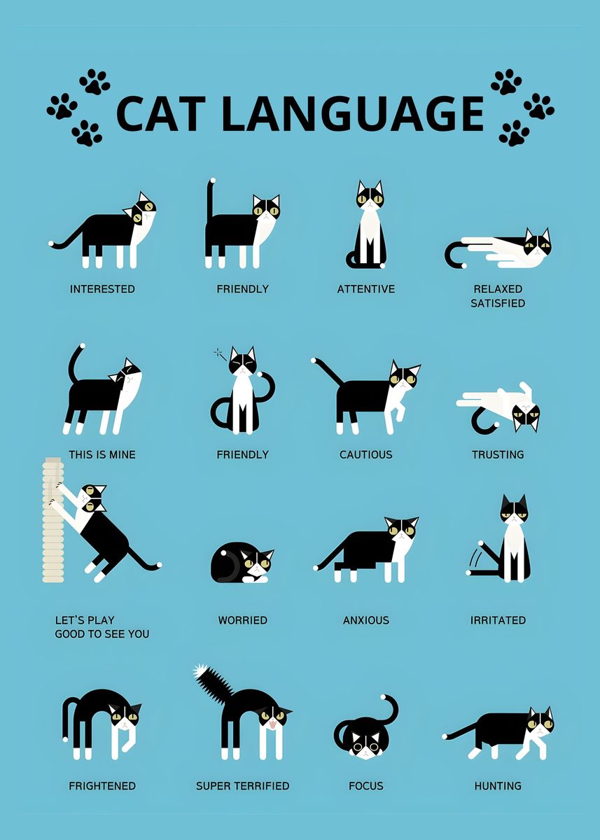 'Cat Language poster' Poster, picture, metal print, paint by gani ...