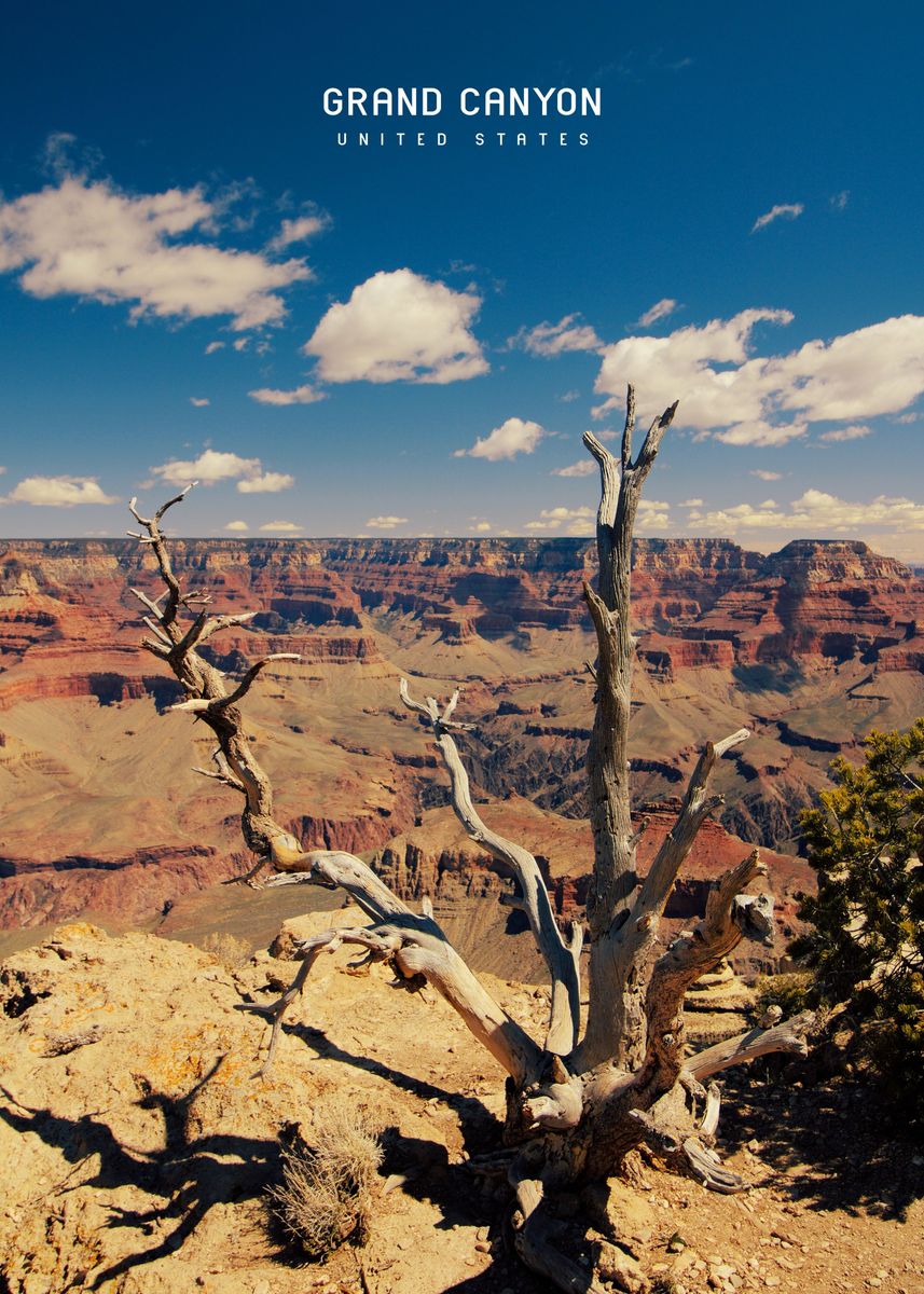 Branden bij Amerikaanse Grand Canyon in 24 uur twintig keer groter Branden bij Amerikaanse Grand Canyon in 24 uur twintig keer groter