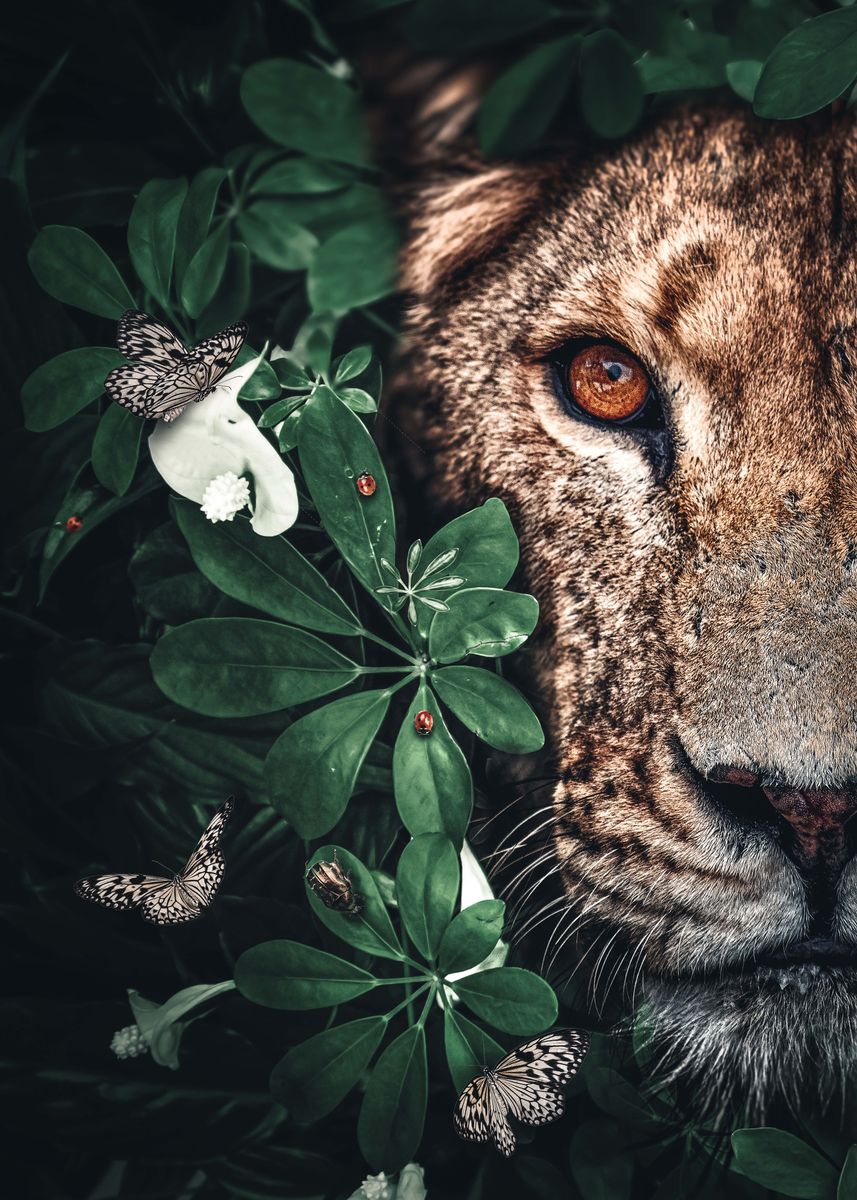 'Lioness Duet Jungle' Poster, picture, metal print, paint by Wouter ...