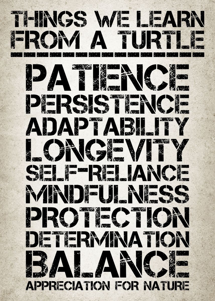 'Life Lessons From Turtles' Poster, picture, metal print, paint by ...