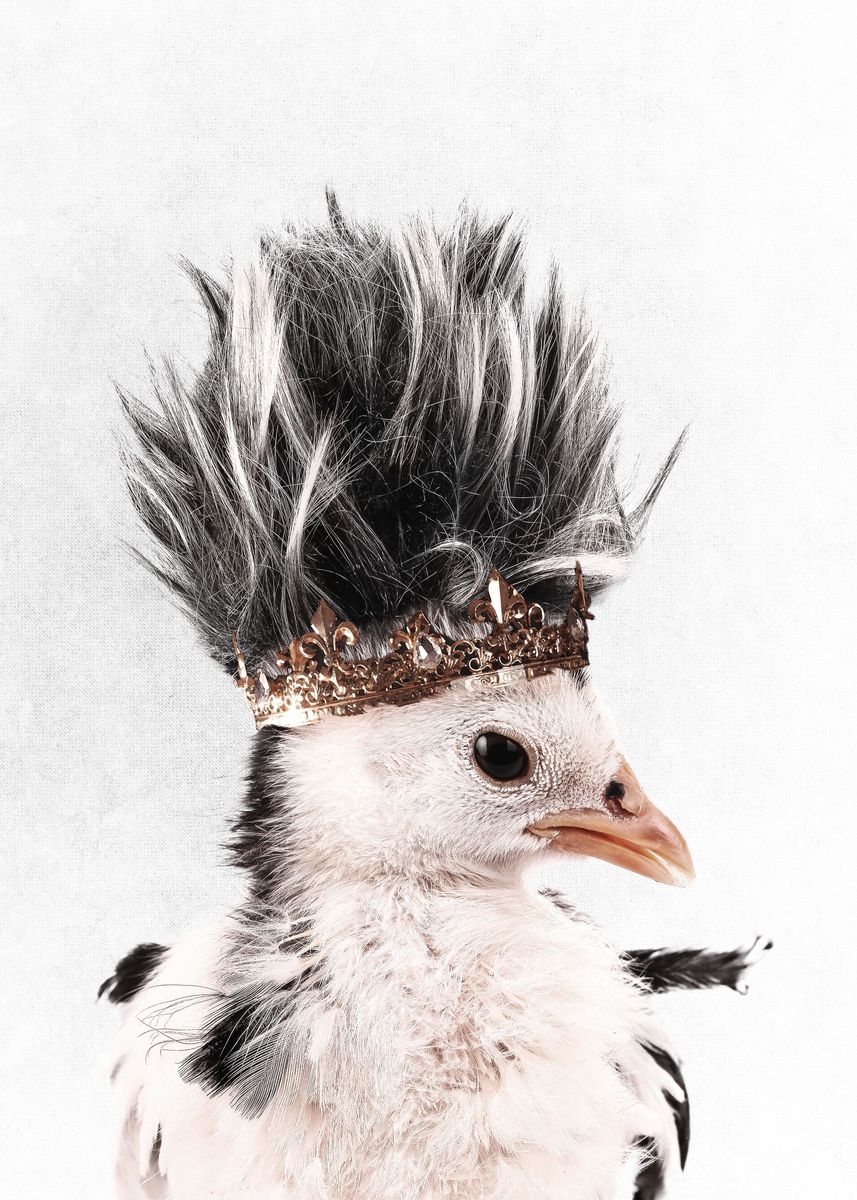 'Little Chick' Poster, picture, metal print, paint by Wouter Rikken ...